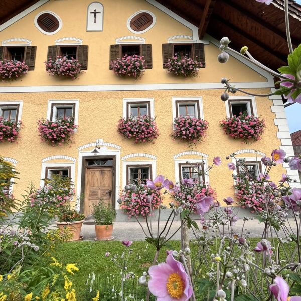 Aubauer Bauernhof mit Blumenwiese