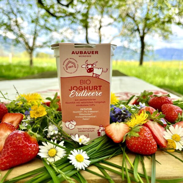 Bio-Erdbeerjoghurt aus pasteurisierter Heumilch mit natürlichen Fettgehalt und Bio-Erdbeeren