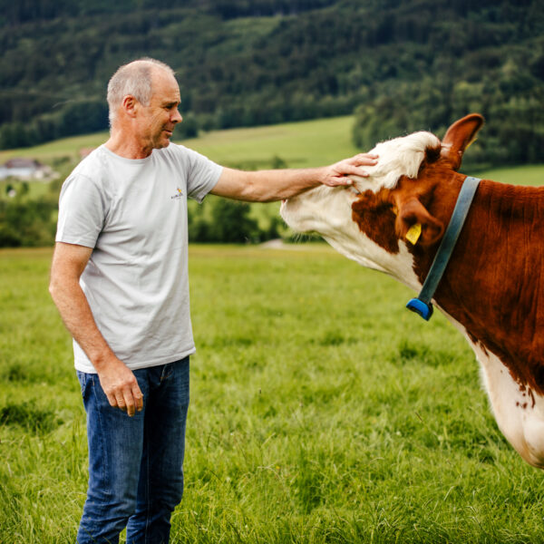 Johann mit Kuh auf der Weide